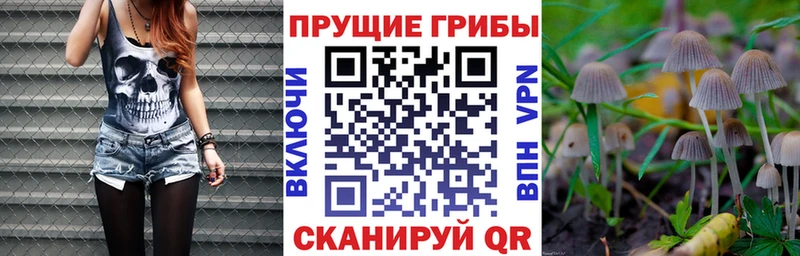 Галлюциногенные грибы Psilocybe  ОМГ ОМГ рабочий сайт  Горбатов 